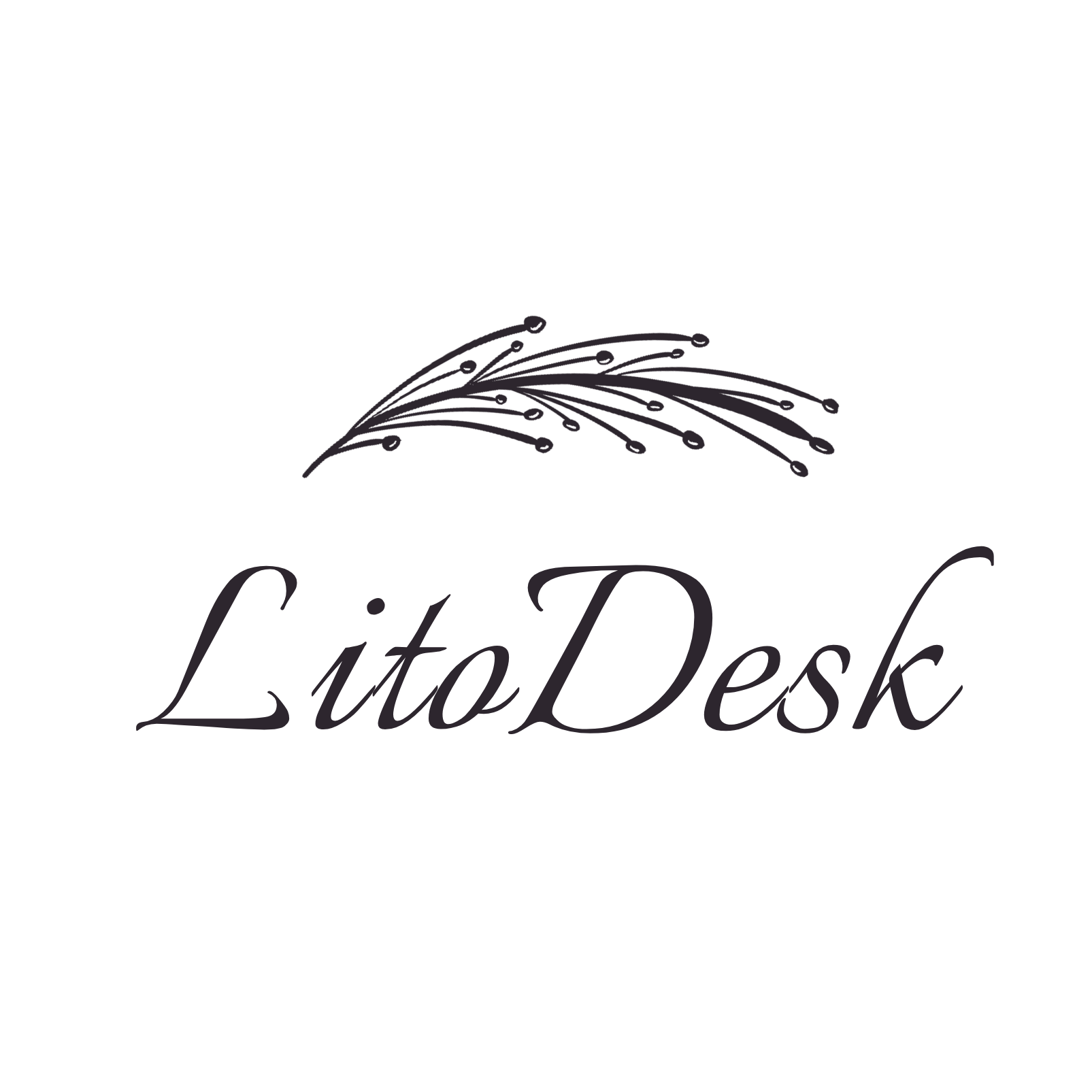 LitoDesk
